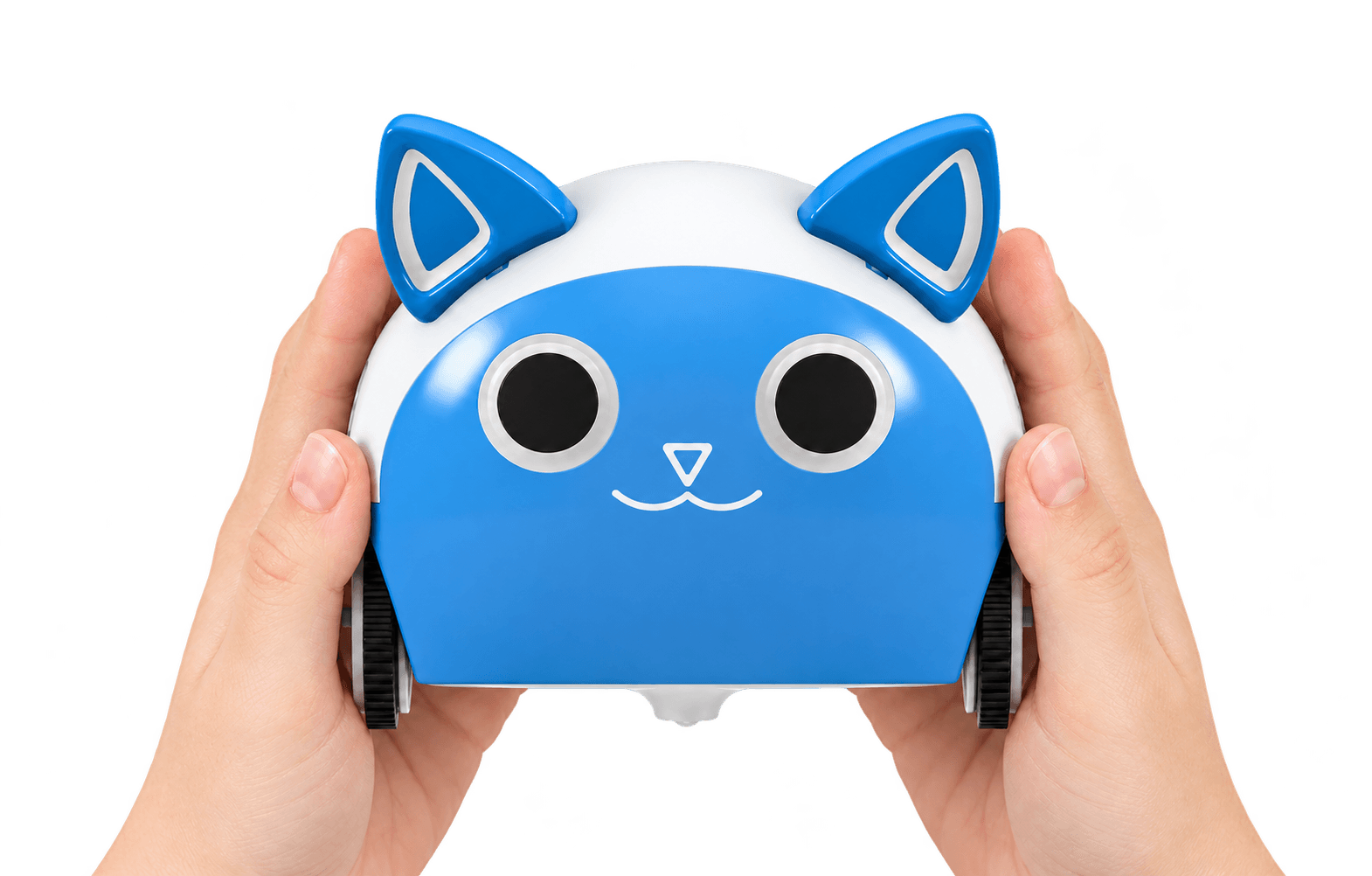 Beeboy, a blue and white educational toy robot, held in two hands